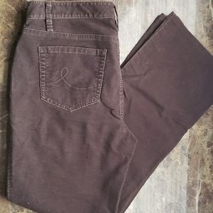 Anne Taylor LOFT Chocolate Corduroy Sz 8